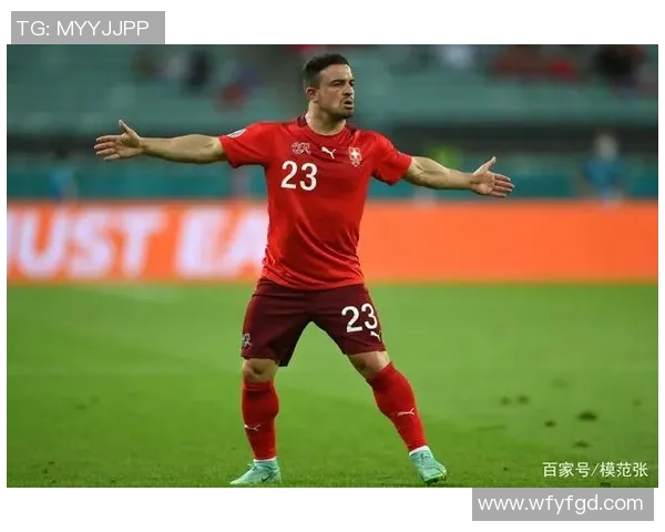 06欧洲杯精彩回顾与未来展望球迷热情与赛事影响力的深度分析