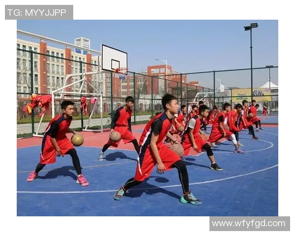 体育运动员的成长历程与辉煌成就全景解析